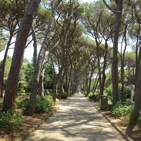 Maria By Interhome Lägenhet